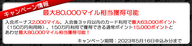 ANAアメックスゴールドカード入会キャンペーンのご案内